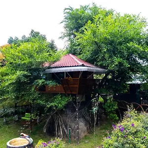 Treehouse Tabor Hills India